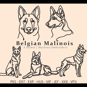 Può includere: Su sfondo beige, cinque disegni a tratto di cani pastore belga malinois in varie pose. Il testo "Belgian Malinois" è sopra il testo "4 Inches | Machine Embroidery". Sotto, formati di file di ricamo.
