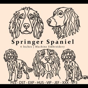 May include: Line art Springer Spaniel embroidery designs in various poses. The image includes the text "Springer Spaniel" and "4 Inches | Machine Embroidery". The design files are compatible with PES, DST, EXP, HUS, VIP, JEF, XXX, and VP3 embroidery machines.