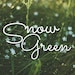 Snowgreen store logo