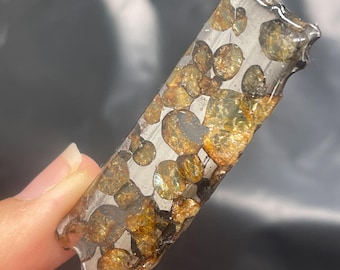 28.5ct Seymchan Pallasite Olive Meteorite Slices Specimen Natural Meteorite Material Sliced - 445A218