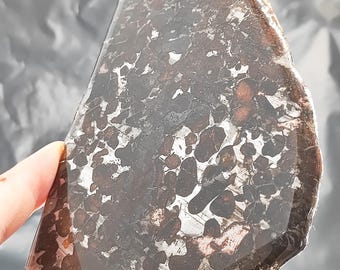 105.9g Seymchan Pallasite Olive Meteorite Slices Specimen Natural Meteorite Material Sliced - 445A88