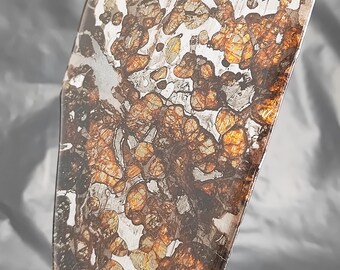 68g Seymchan Pallasite Olive Meteorite Slices Specimen Natural Meteorite Material Sliced - 445A86