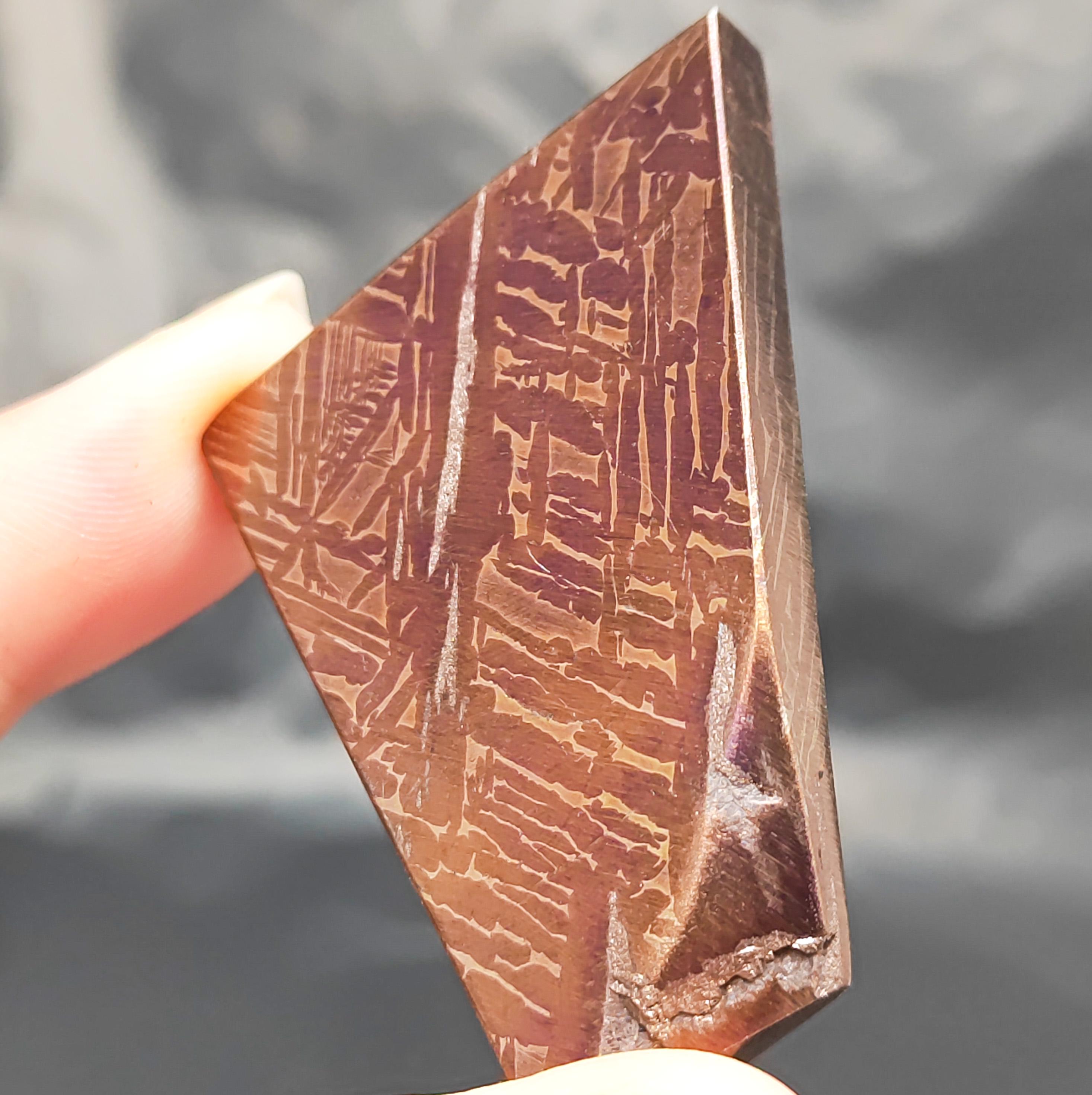 49.7g ムオニオナラスタ隕石スライス、グリル加工ブルー隕石標本