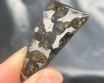 15.5ct Seymchan Pallasite Olive Meteorite Slices Specimen Natural Meteorite Material Sliced - 445A217