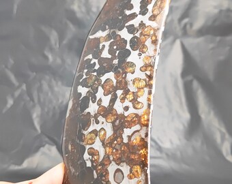 100g Seymchan Pallasite Olive Meteorite Slices Specimen Natural Meteorite Material Sliced - 445A81