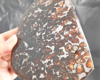 107.2g Seymchan Pallasite Olive Meteorite Slices Specimen Natural Meteorite Material Sliced - 445A85