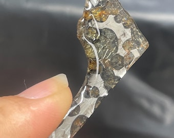 11.5ct Seymchan Pallasite Olive Meteorite Slices Specimen Natural Meteorite Material Sliced - 445A215