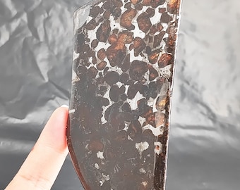56.8g Seymchan Pallasite Olive Meteorite Slices Specimen Natural Meteorite Material Sliced - 445A79