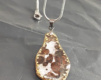 Sericho Pallasite Meteorite Slice Pendant Necklace - Kenya
