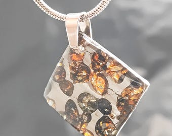 Sericho Pallasite Meteorite Slice Pendant Necklace - Kenya