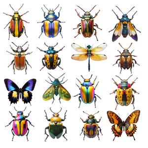 16 Unique Insects & Beetles Clipart, Digital Download, High-Quality PNG, Printable for Crafting, Scrapbooking and Design, Bugs and Insects