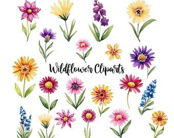 20 Watercolor Wildflower Clipart, Floral PNG, Botanical Clipart for Digital and Print Projects, Boho Flower Illustrations, Wedding Graphics