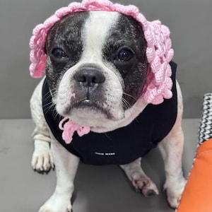 Crochet Pattern: DIY Pet Drawstring Collar - Adjustable Cat & Dog Accessory (PDF Pattern)