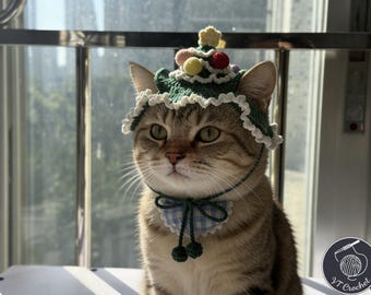 May include: A tabby cat wearing a handmade green crochet Christmas tree hat with colorful pom-poms and a star on top. The cat also wears a blue and white gingham collar with green pom-pom accents. The cat is sitting near a window.