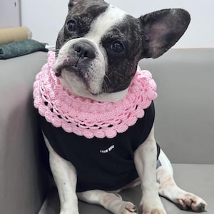 Crochet Pattern: DIY Pet Drawstring Collar - Adjustable Cat & Dog Accessory (PDF Pattern)