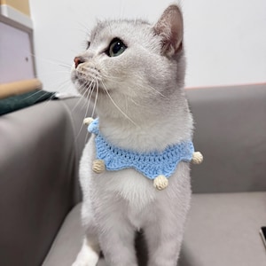 May include: A silver cat with green eyes wearing a light blue crocheted collar with cream-colored pom-poms. The cat is sitting on a gray surface and looking upwards.