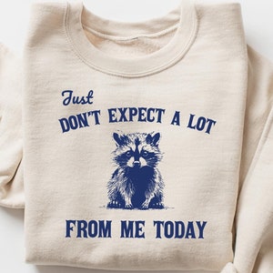 Op de afbeelding: Een beige sweatshirt met een blauwe afbeelding van een wasbeer en de tekst "Just Don't Expect A Lot From Me Today".