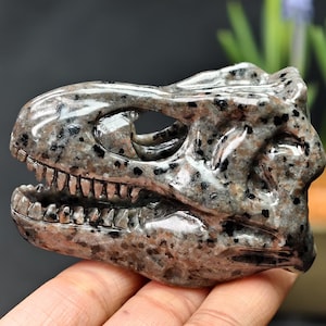 Sculpture naturelle de dinosaure en yooperlite, décoration d'intérieur en cristal de crâne de tyrannosaure