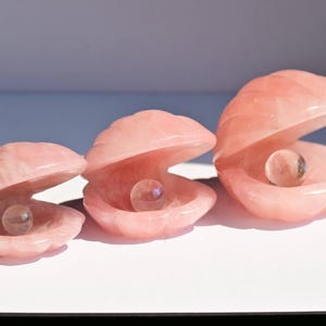 May include: Three carved rose quartz seashells arranged in a row, each featuring a smooth, translucent, spherical clear crystal bead resting inside the open shell. The shells exhibit a soft, pale pink hue with natural variations in the stone texture.