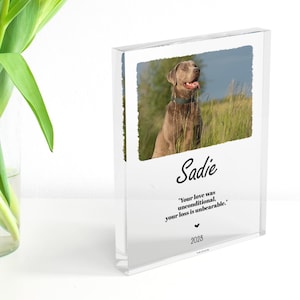 Può includere: Un blocco di acrilico trasparente con una foto di un cane di nome Sadie. La foto è incorniciata con un bordo bianco e include il testo "Your love was unconditional, your loss is unbearable." e l'anno 2023.