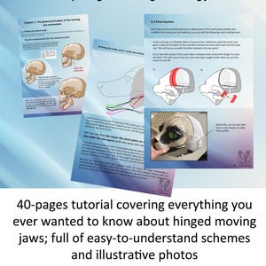 Puede incluir: Una guía de 40 páginas sobre cómo crear mandíbulas móviles con bisagras para máscaras. La guía incluye ilustraciones y diagramas detallados, así como fotos del proceso. El texto en la página dice "La guía completa de las mandíbulas móviles con bisagras".