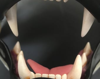 Realistic small feline resin teeth / ideal for domestic cat persian cat lynx khajiit fursuit and cosplay mask