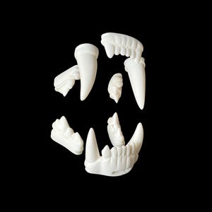 Realistic large feline resin teeth / ideal for lion tiger leopard fursuit and cosplay mask