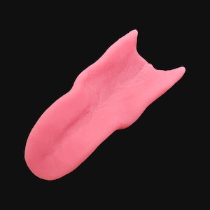 May include: A pink tongue model, made of a soft, flexible material. The tongue is shaped like a human tongue and has a realistic texture.