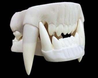 Realistic werewolf resin teeth / also ideal for similar monster fursuit and cosplay mask