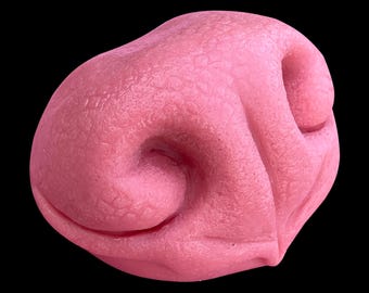 Realistic small canine silicone nose / ideal for small domestic dog raccoon dog fennec fox fursuit and cosplay mask