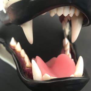May include: Close-up of a black and white furry mask with a wide open mouth, revealing rows of white teeth and a pink tongue.