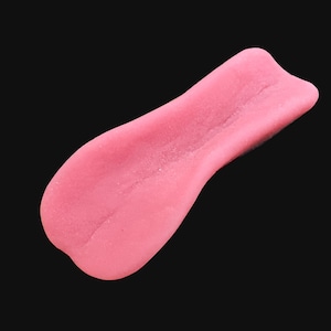 May include: A pink tongue-shaped object with a textured surface.