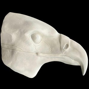 May include: A white plaster sculpture of an eagle's head, viewed from the side. The sculpture is detailed with realistic features, including the beak, eyes, and feathers.