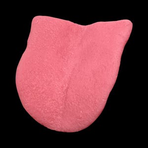 Peut inclure: Gros plan d'une langue rose sur fond noir. La langue, d'un rose vif, présente une texture rugueuse. L'image met en valeur la forme et la texture de la langue.