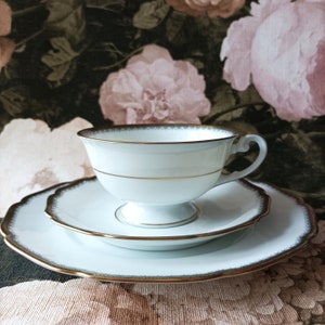 Elegant Porcelain Set, Gold-rimmed teacup and saucer, HUTSCHENREUTHER HOHENBERG tableware set