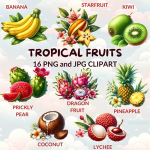 Watercolor Tropical Fruits Clipart Bundle, 16 PNG and JPG Files, Exotic Banana, Coconut & Summer Dessert Fruits for Projects