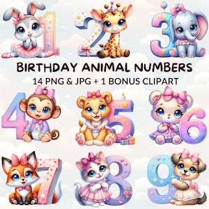 14 Watercolor Birthday Animal Numbers Clipart Bundle, Cute Animal PNG & JPG, Birthday Decorations, Baby Shower, Nursery Decor