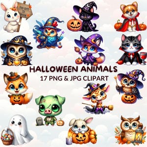 Watercolor Cartoon Halloween Animals Bundle Clipart, 14 Cute Halloween Animal PNG & JPG, Nursery Decor, Trick or Treat Clipart