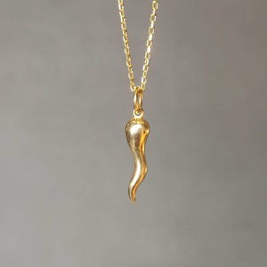 Gold Italian Horn Necklace: Sterling Silver Cornicello Pendant