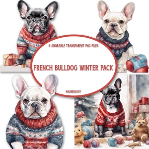 Französische Bulldogge Winter Pack - Entzückende PNG-Dateien für Ihre Grafikprojekte