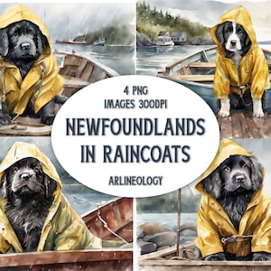 Neufundländer in Regenmänteln - Newfie Puppies on Boats Decked Out in Full Raingear - PNG Digital Files