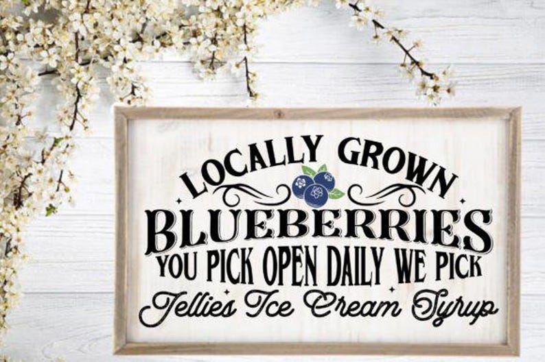 Blueberry Sign SVG Bundle – 12 Designs - Etsy