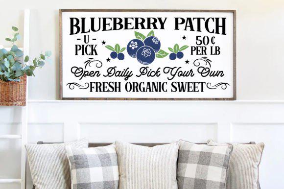 Blueberry Sign SVG Bundle – 12 Designs - Etsy
