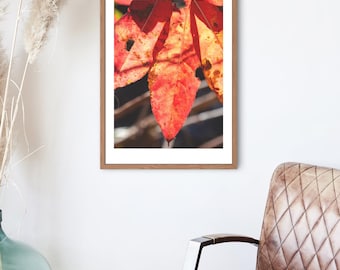 Fotografía de montaña con hojas de otoño