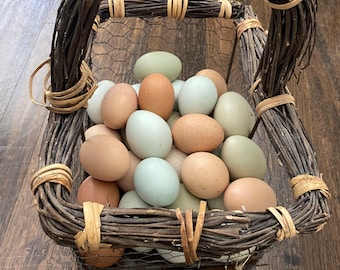 Freeze Dried Organic+Free Range Raw Chicken Eggs