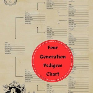 4 世代の家系図 - 印刷可能 - 編集可能な PDF