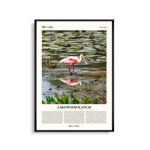 Arte mural de Lakewood Ranch, Florida, impresión de paisaje suburbano, póster de Lakewood Ranch, fotografía panorámica de la costa del Golfo, decoración del suroeste de Florida