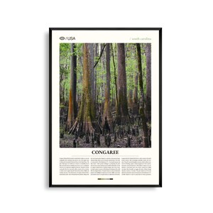 Arte mural del Parque Nacional Congaree, Carolina del Sur, Impresión de paisajes silvestres, Póster de Congaree, Fotografía de naturaleza escénica, Decoración del sureste