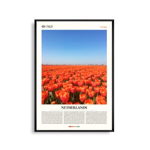 Niederlande Wand Kunst, Malerische Landschaft und Stadtansicht Fotografie Druck, Niederlande Poster, Europäisches Reisedekor