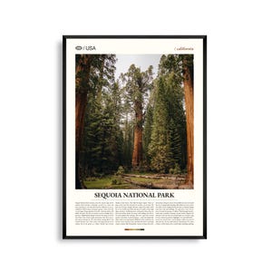 Impresión del Parque Nacional Sequoia, California, Arte mural de sequoia gigante, Póster de sequoia, Foto de paisaje de Sierra Nevada, Decoración natural